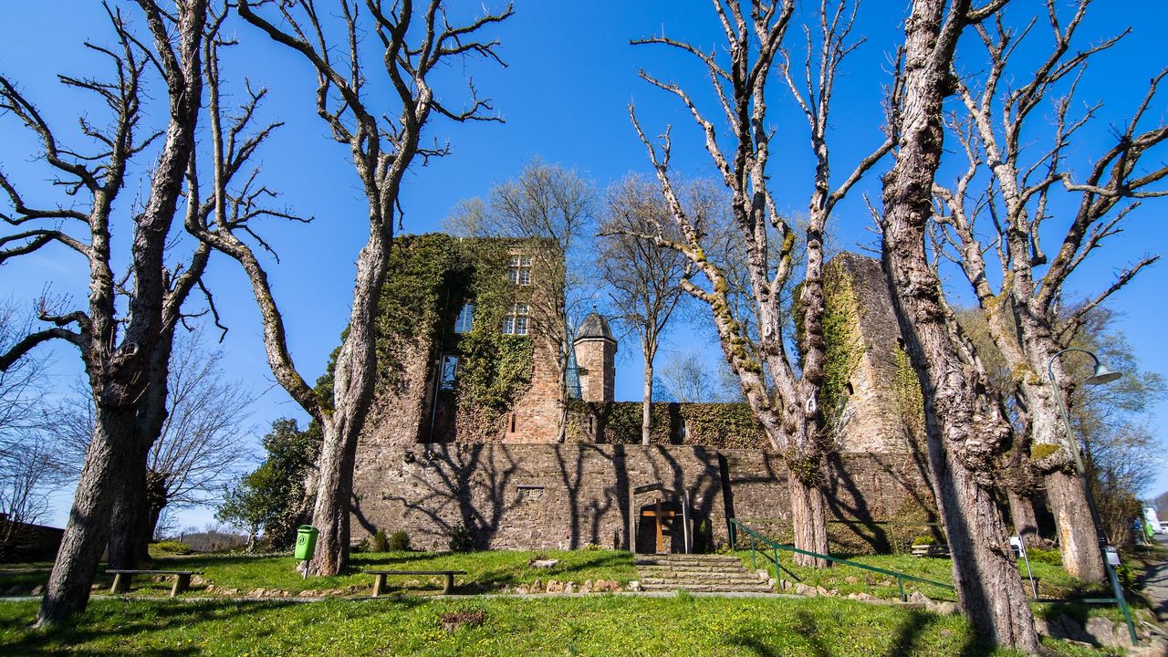 AreaSummer5KM AreaSummer5KM